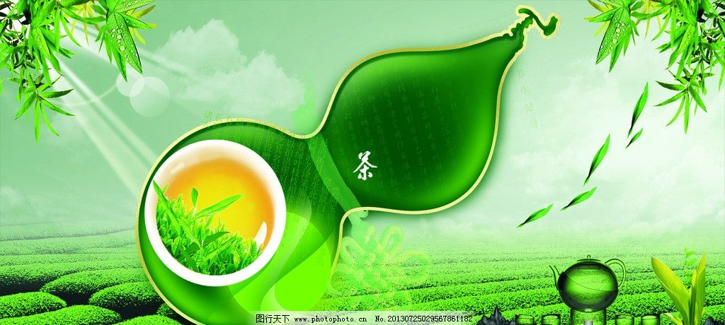 云頂茶園 尋覓安溪茶山中的一脈清香