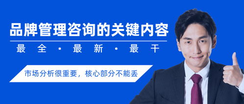 品牌管理咨詢的關鍵內容與目標市場分析的重要性